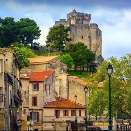 Appartement La Cigale Beaucaire (Gard)
